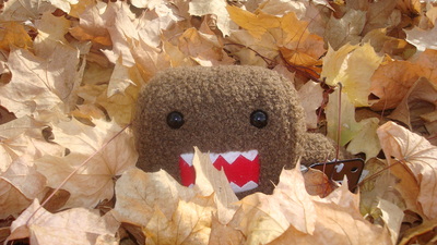 Click to view full size image
==============
domo2
domo2